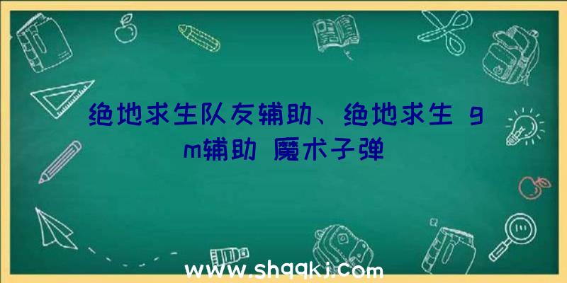 绝地求生队友辅助、绝地求生